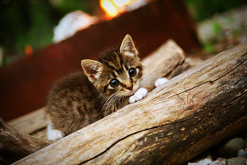 爱游戏电脑版官网-VALORANT 新战术打法层出不穷，valorant战绩