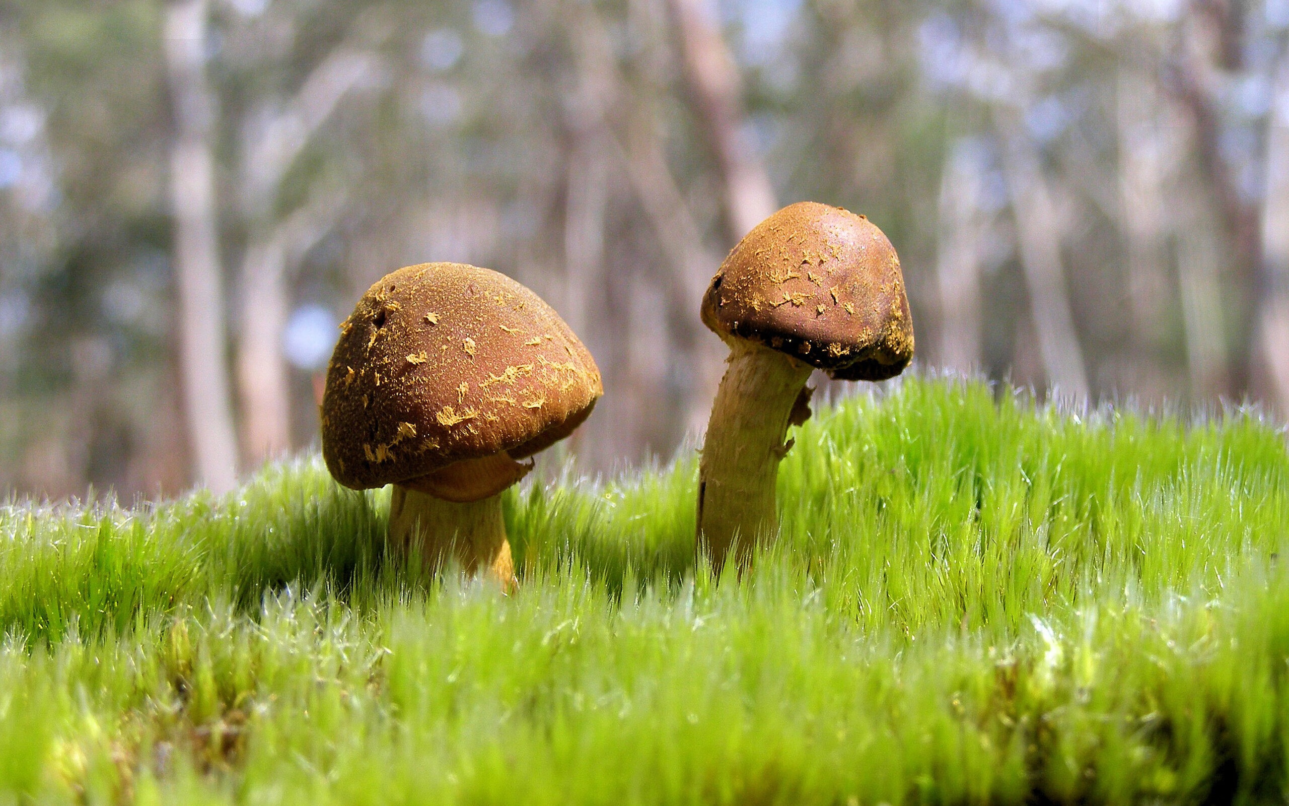 爱游戏平台-_湖人队迎来重要战役，誓夺胜利_，湖人队战况