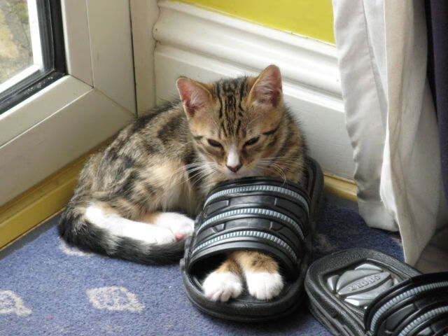 爱游戏体育网页版-史上最“燃”比赛瞬间：镜头捕捉每个令人激情澎湃的时刻